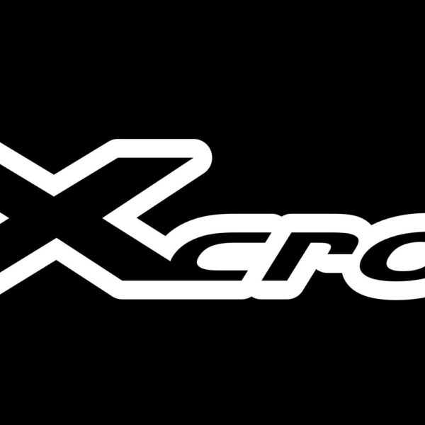 FX Crown Air Rifle Decal