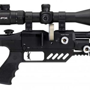 FX Dreamline Decal Air Rifle