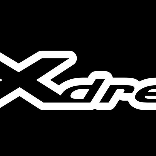 FX Dreamline Decal Air Rifle